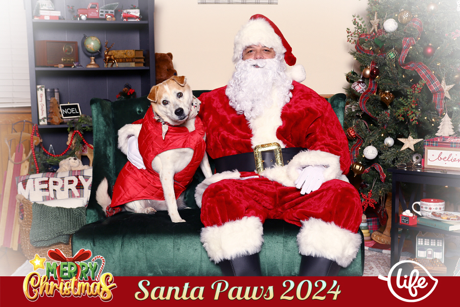 The City of Allen Santa Paws Pet Photos 2024